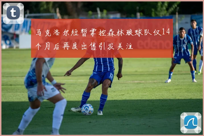马克洛尔短暂掌控森林狼球队仅14个月后再度出售引发关注
