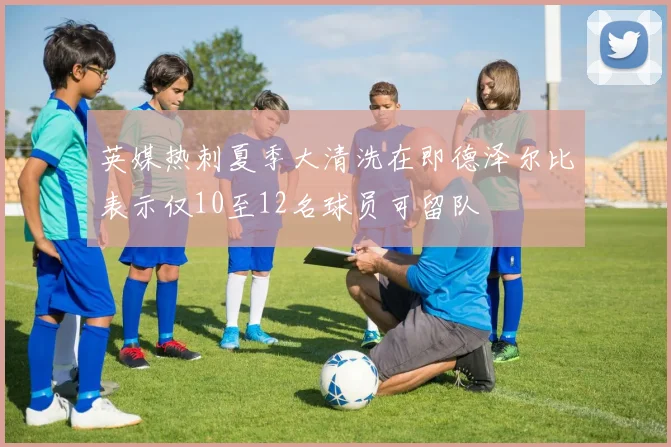 英媒热刺夏季大清洗在即德泽尔比表示仅10至12名球员可留队